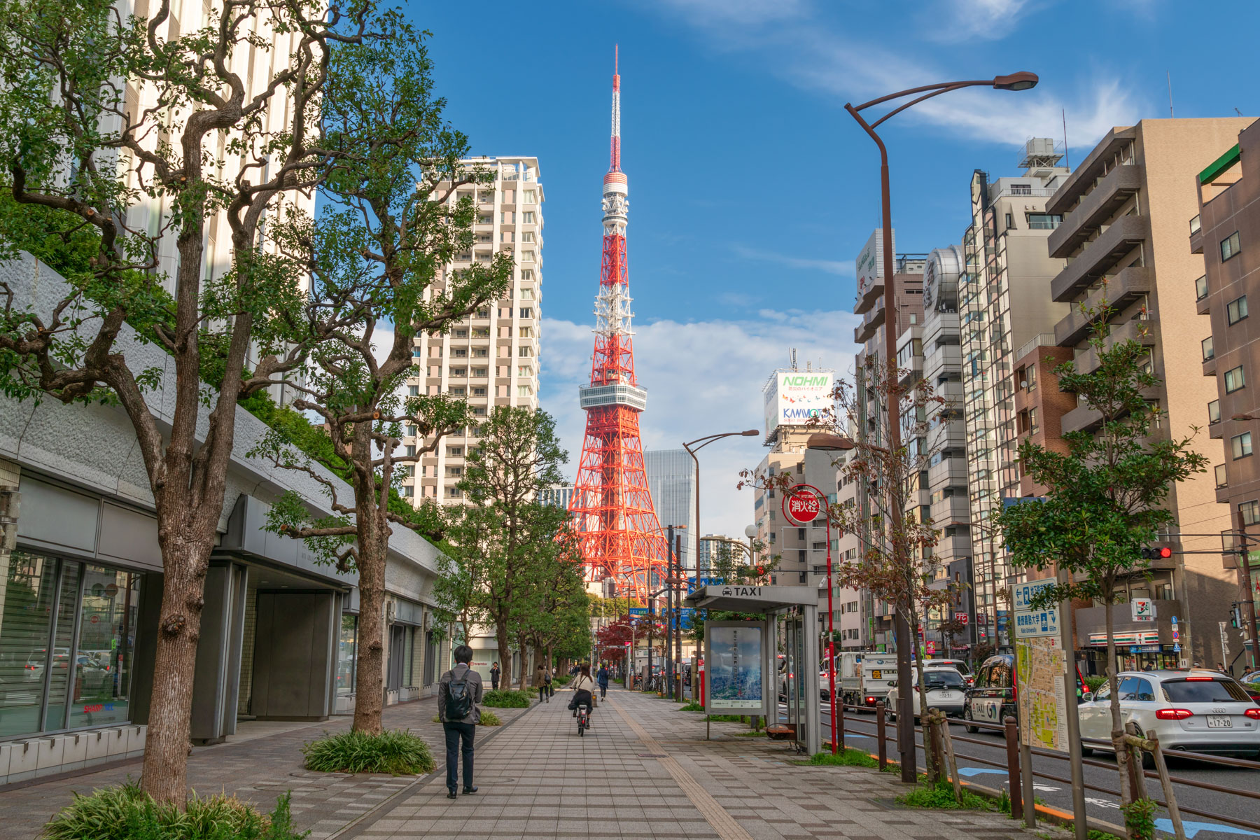 「港区」5つの街から見えてくる、煌びやかで穏やかな日常
